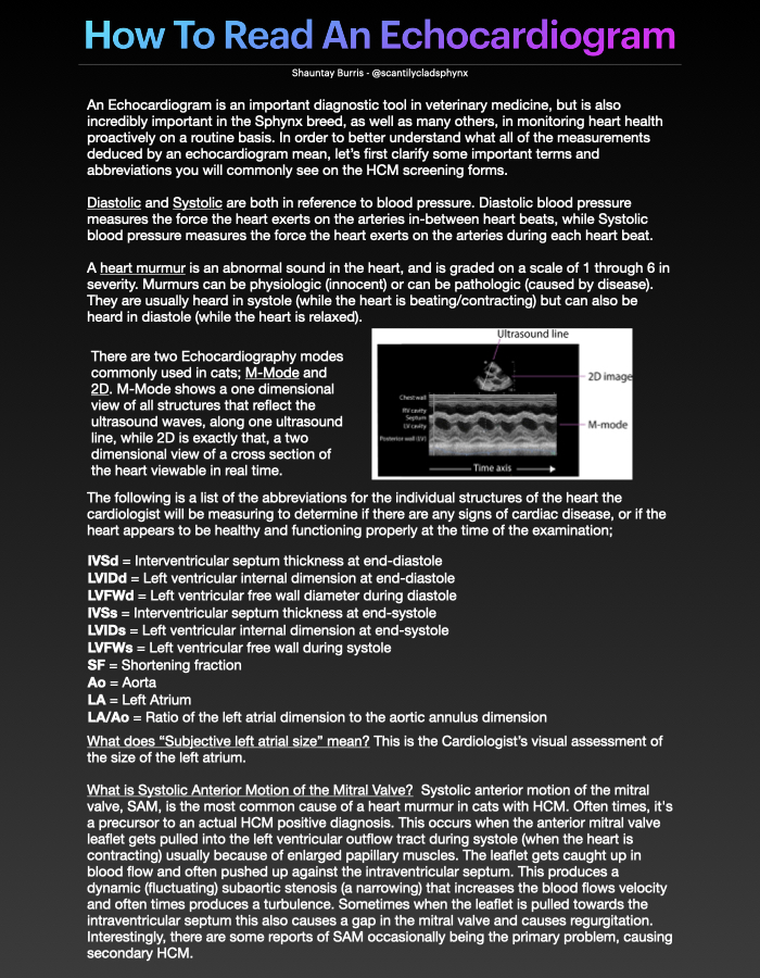 How to Read an Echocardiogram Form