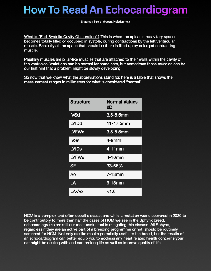 How to Read an Echocardiogram Form